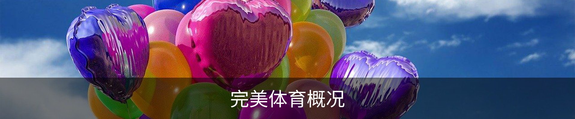 完美体育概况
